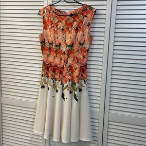 Like new Gabby Sky Sleeveless A Line Salmon Colored Floral Dress Like New Size 6
